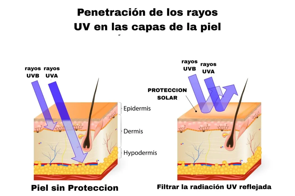 Proteccion Solar Natural 1