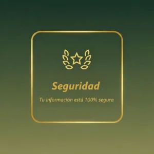 seguridad 1