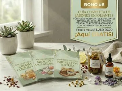 BONO 6