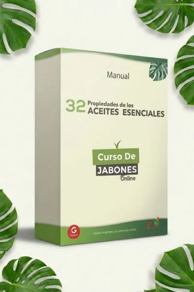 BONUS NIVEL 1Y2 1