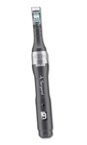 DIB 1