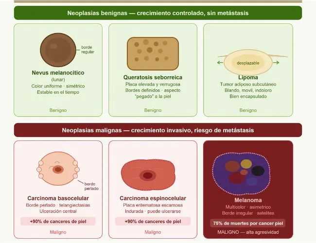 Enfermedades de la Piel Corporal