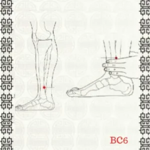 BC6
