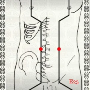 E25