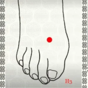 H3