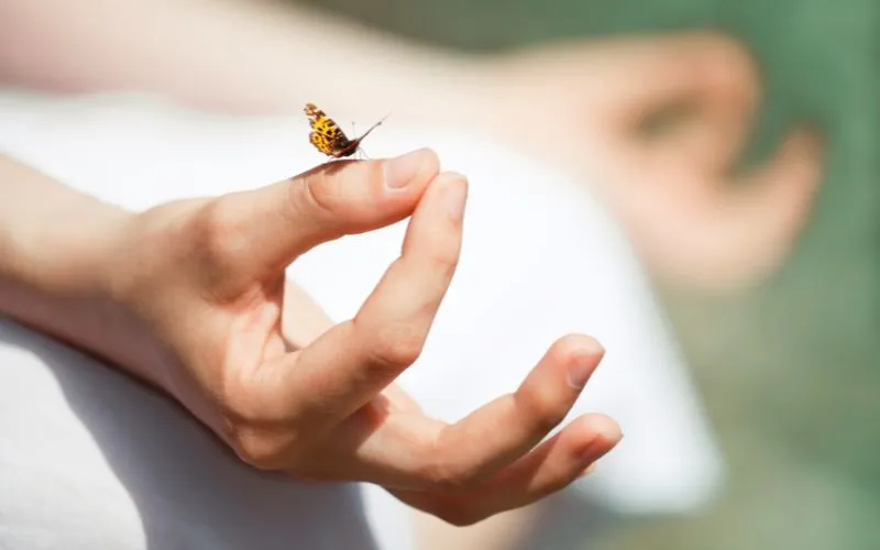 Qué es la meditación