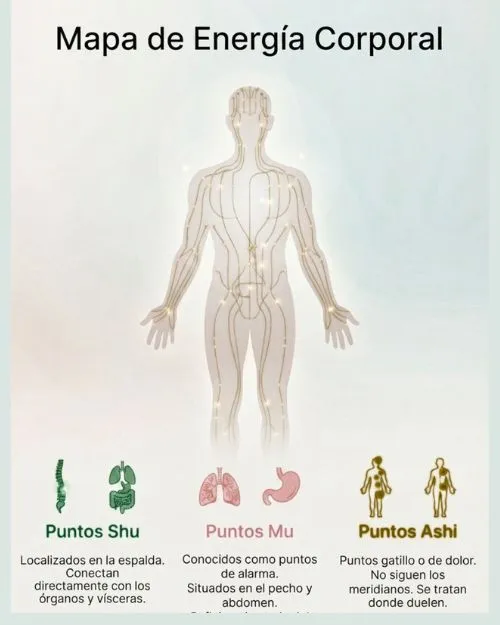 Mapeo de energía corporal en Acupuntura y energía vital